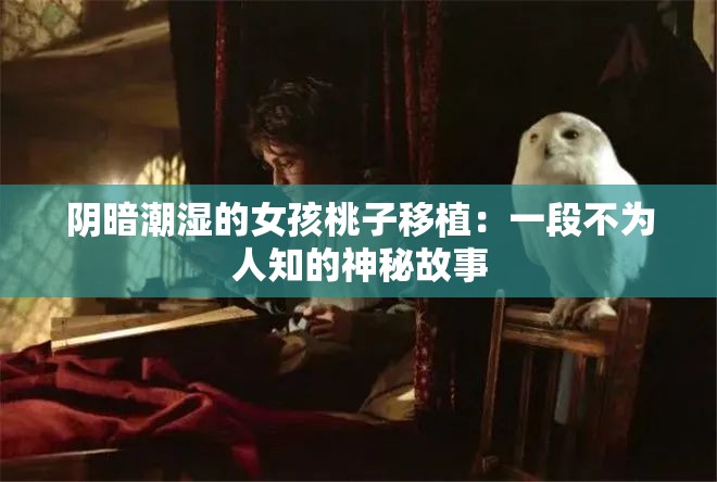 阴暗潮湿的女孩桃子移植：一段不为人知的神秘故事