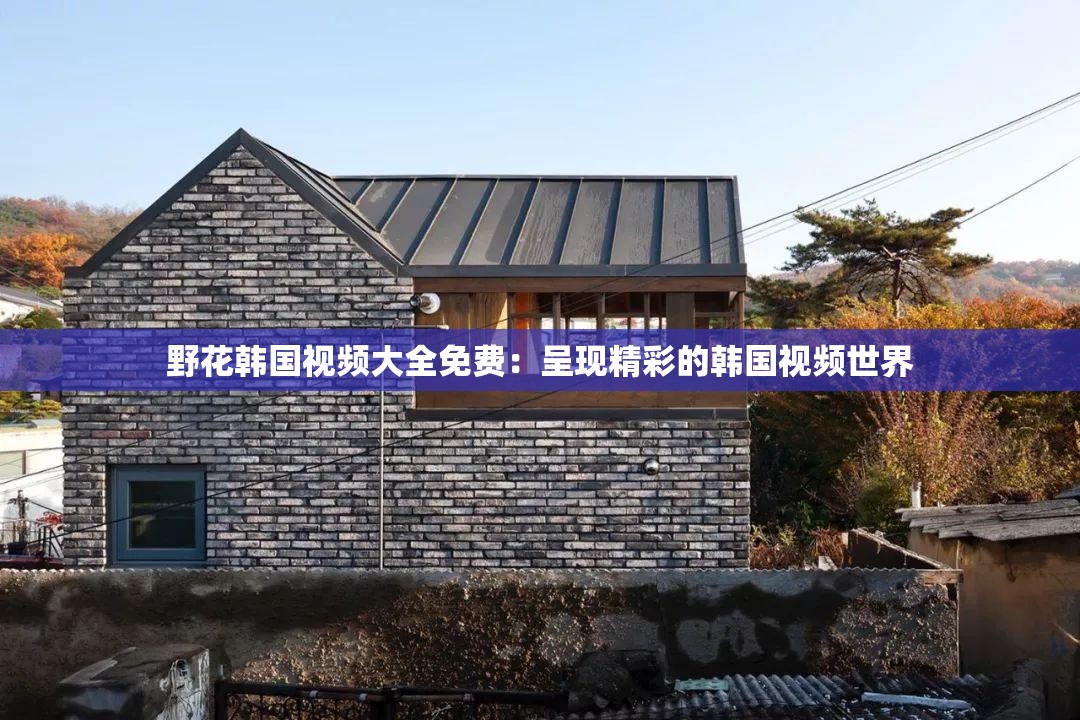 野花韩国视频大全免费：呈现精彩的韩国视频世界