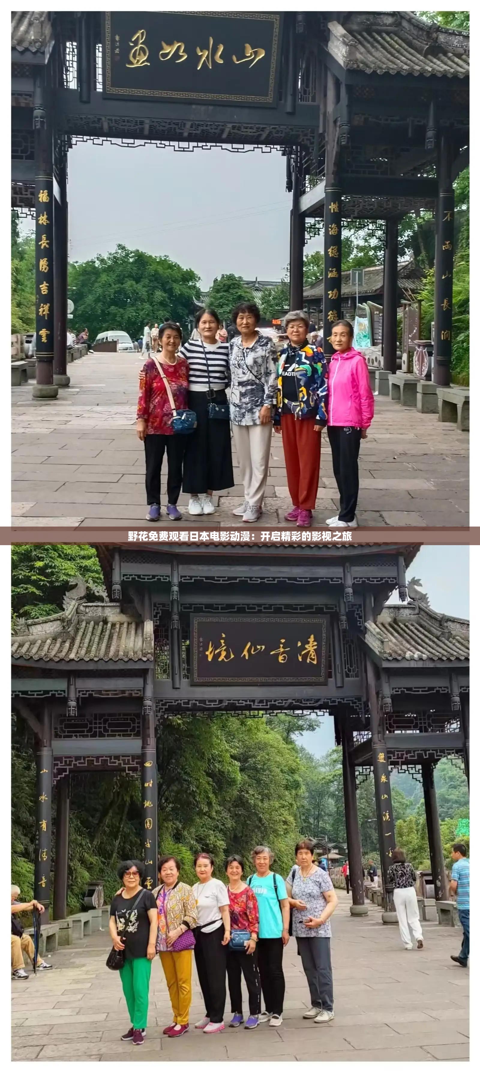 野花免费观看日本电影动漫：开启精彩的影视之旅