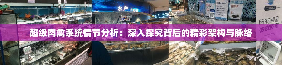 超级肉禽系统情节分析：深入探究背后的精彩架构与脉络