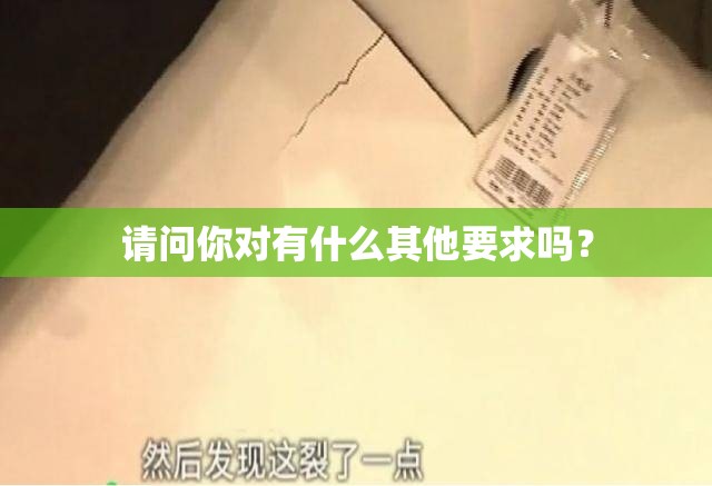 请问你对有什么其他要求吗？