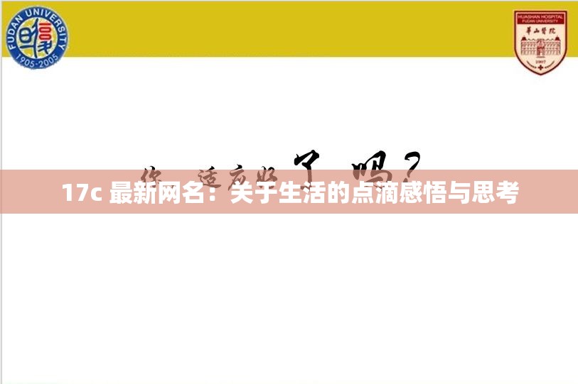 17c 最新网名：关于生活的点滴感悟与思考