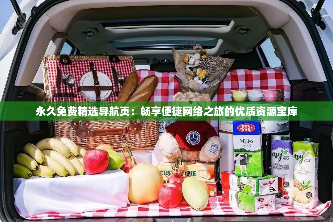 永久免费精选导航页：畅享便捷网络之旅的优质资源宝库