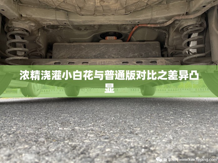 浓精浇灌小白花与普通版对比之差异凸显