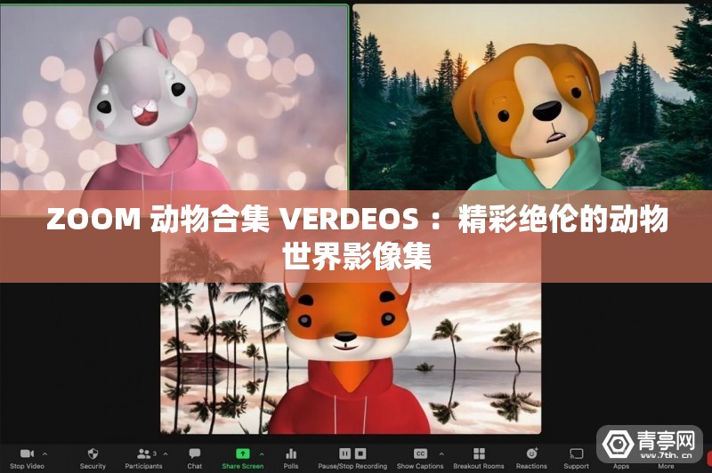 ZOOM 动物合集 VERDEOS ：精彩绝伦的动物世界影像集