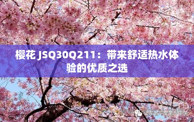 樱花 JSQ30Q211：带来舒适热水体验的优质之选