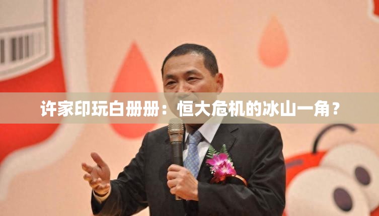 许家印玩白册册：恒大危机的冰山一角？