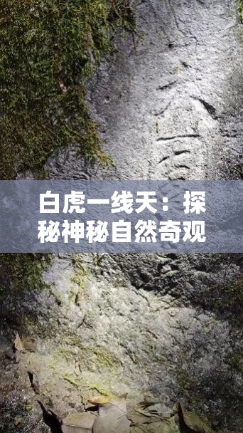 白虎一线天：探秘神秘自然奇观