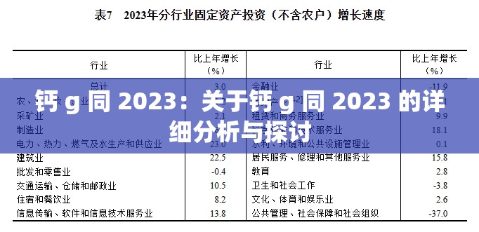 钙 g 同 2023：关于钙 g 同 2023 的详细分析与探讨