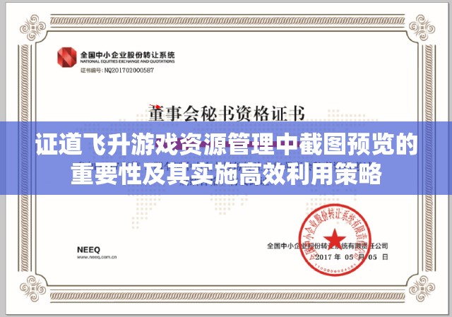 证道飞升游戏资源管理中截图预览的重要性及其实施高效利用策略