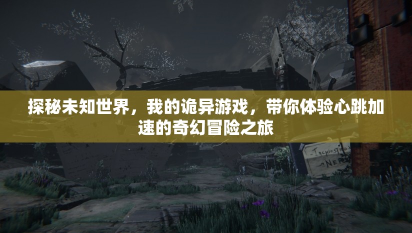 探秘未知世界，我的诡异游戏，带你体验心跳加速的奇幻冒险之旅