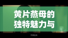 黄片燕母的独特魅力与不凡经历