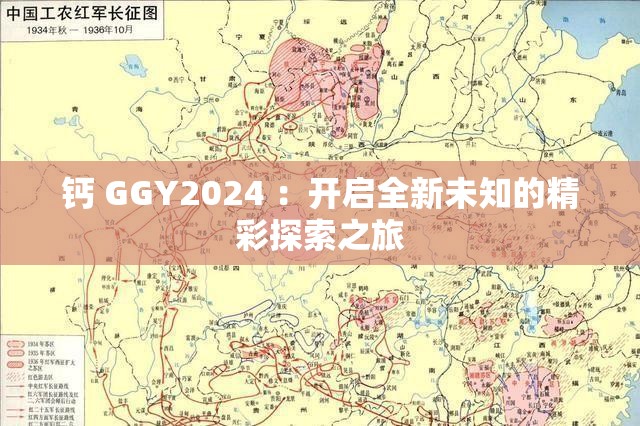 钙 GGY2024 ：开启全新未知的精彩探索之旅