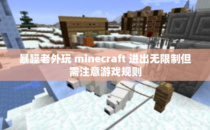 暴躁老外玩 minecraft 进出无限制但需注意游戏规则
