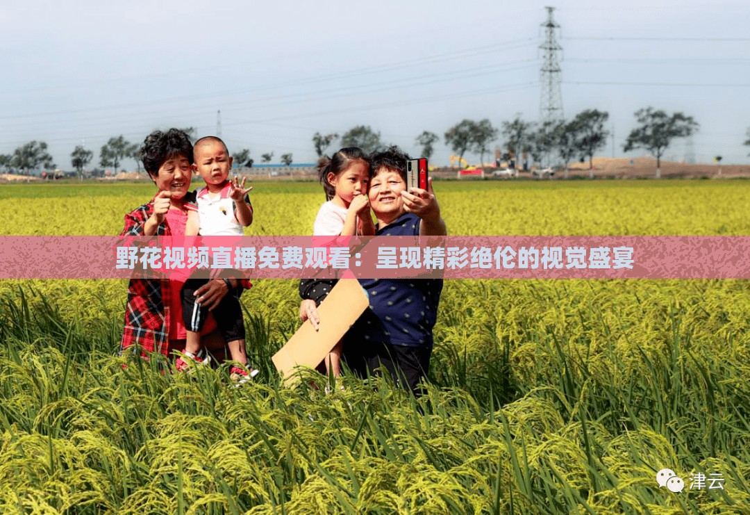 野花视频直播免费观看：呈现精彩绝伦的视觉盛宴