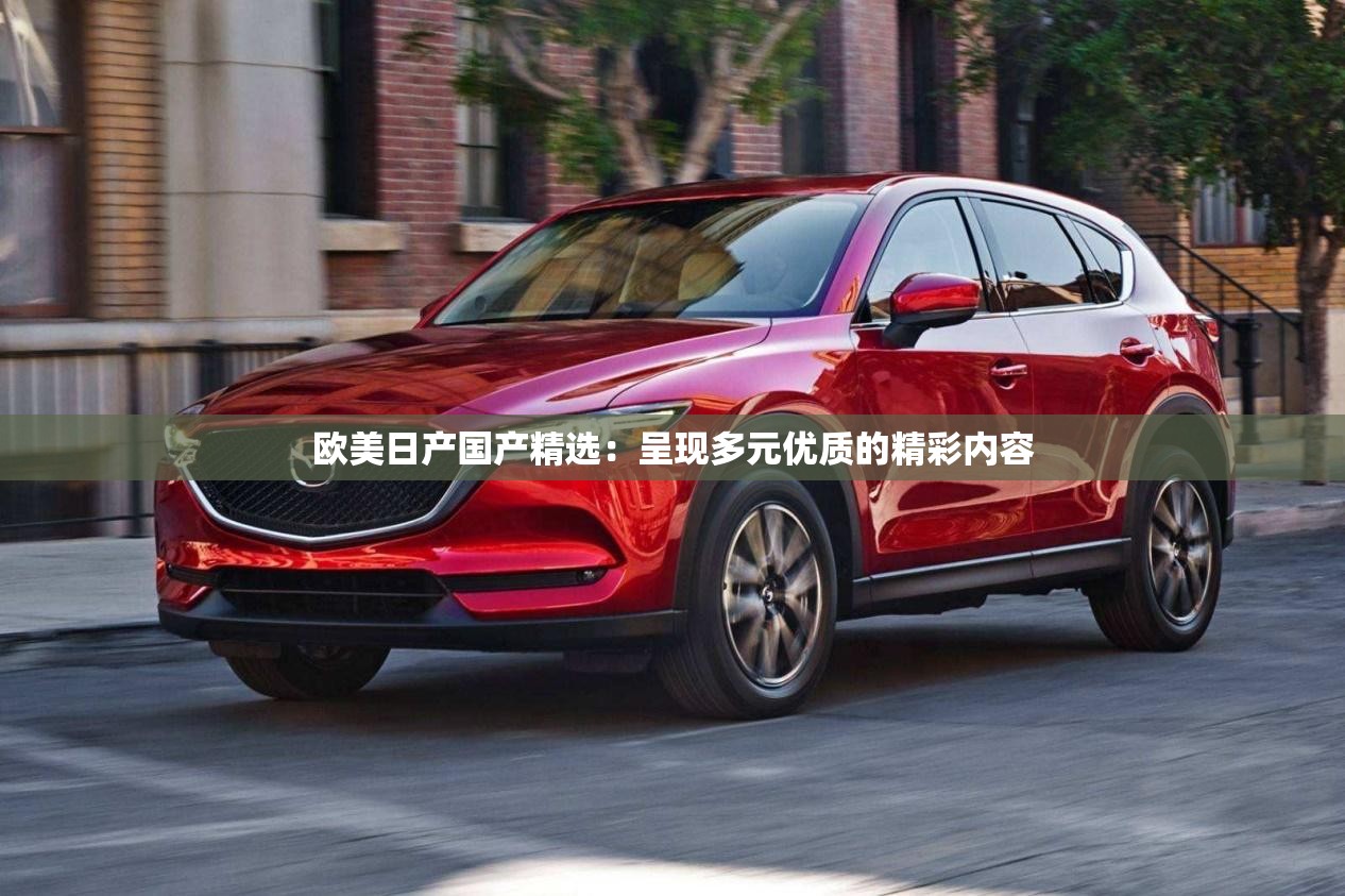 欧美日产国产精选：呈现多元优质的精彩内容