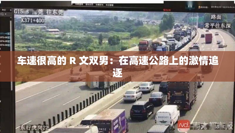 车速很高的 R 文双男：在高速公路上的激情追逐