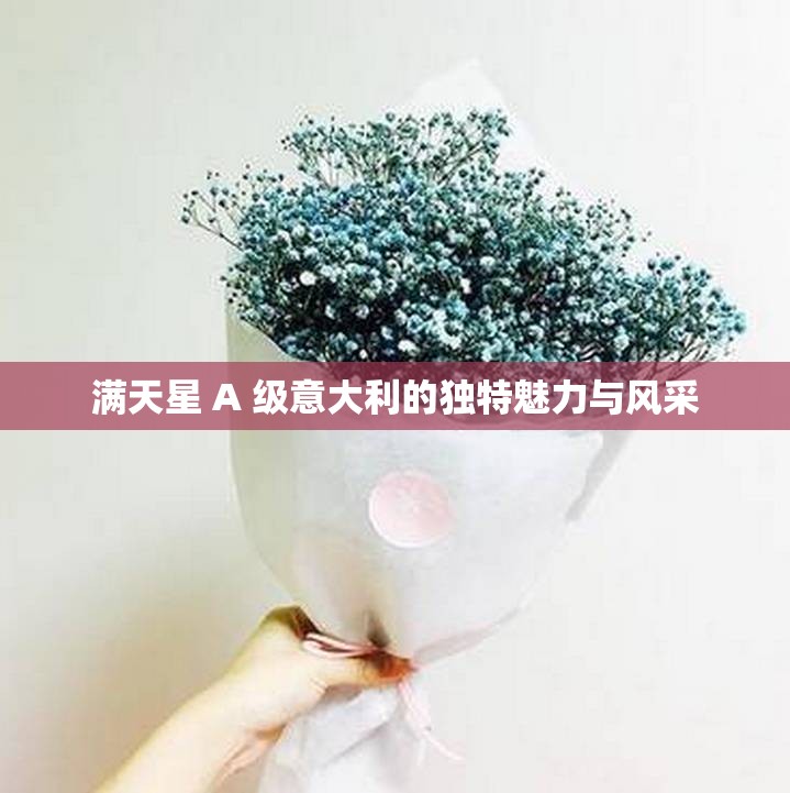 满天星 A 级意大利的独特魅力与风采