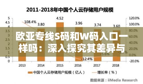 欧亚专线S码和W码入口一样吗：深入探究其差异与相同之处