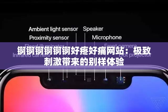 锕锕锕锕锕锕好疼好痛网站：极致刺激带来的别样体验