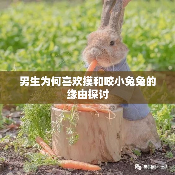 男生为何喜欢摸和咬小兔兔的缘由探讨