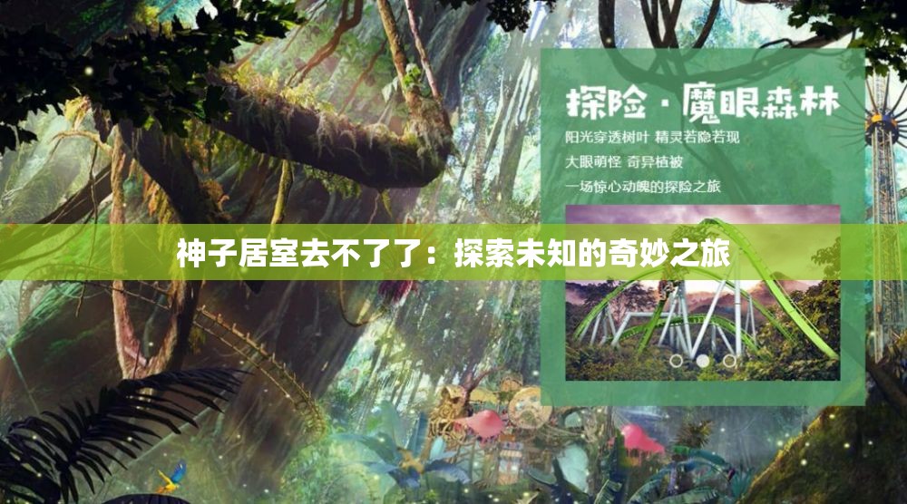 神子居室去不了了：探索未知的奇妙之旅