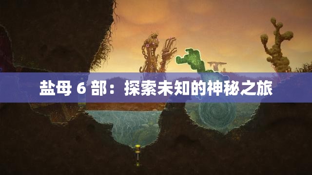 盐母 6 部：探索未知的神秘之旅