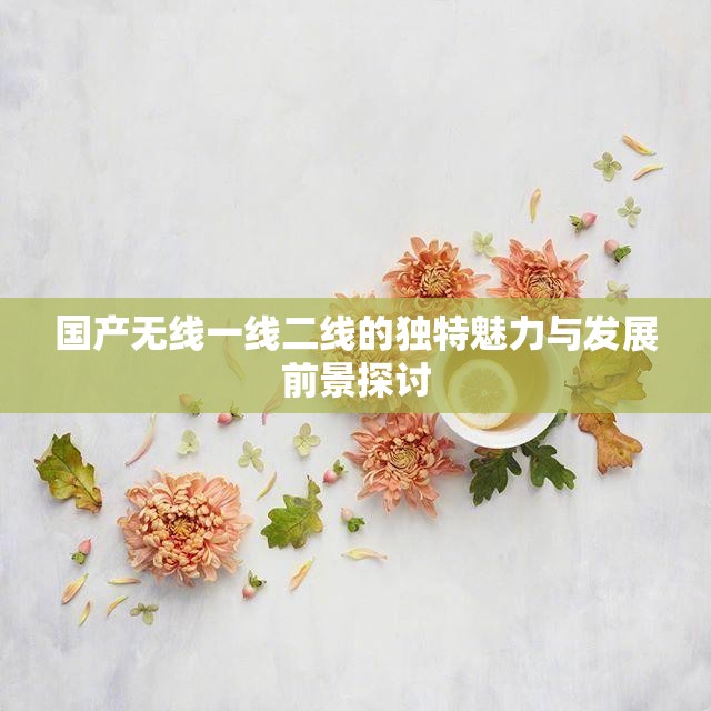 国产无线一线二线的独特魅力与发展前景探讨