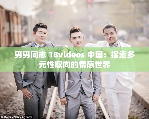 男男同志 18vldeos 中国：探索多元性取向的情感世界