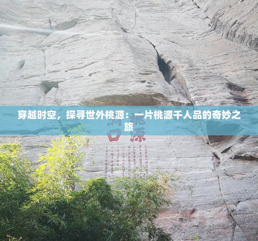 穿越时空，探寻世外桃源：一片桃源千人品的奇妙之旅