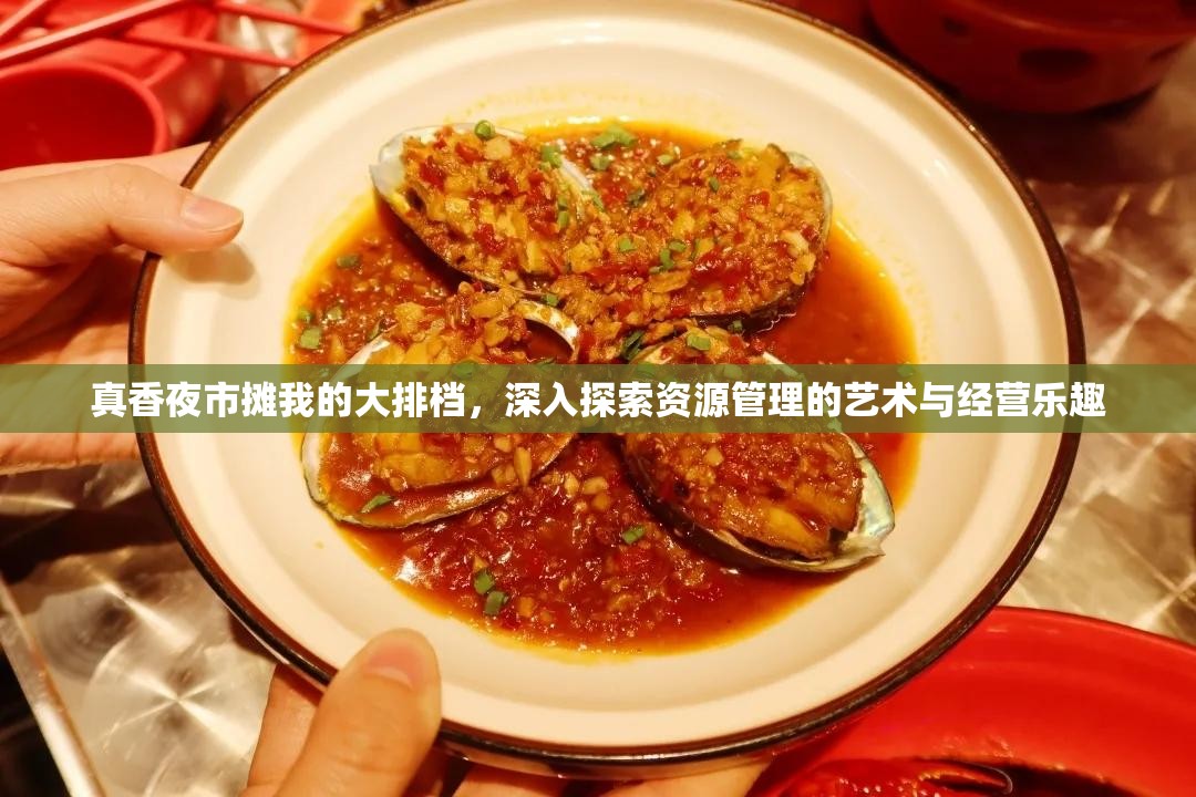 真香夜市摊我的大排档，深入探索资源管理的艺术与经营乐趣