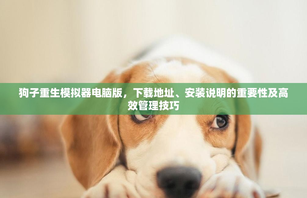 狗子重生模拟器电脑版，下载地址、安装说明的重要性及高效管理技巧
