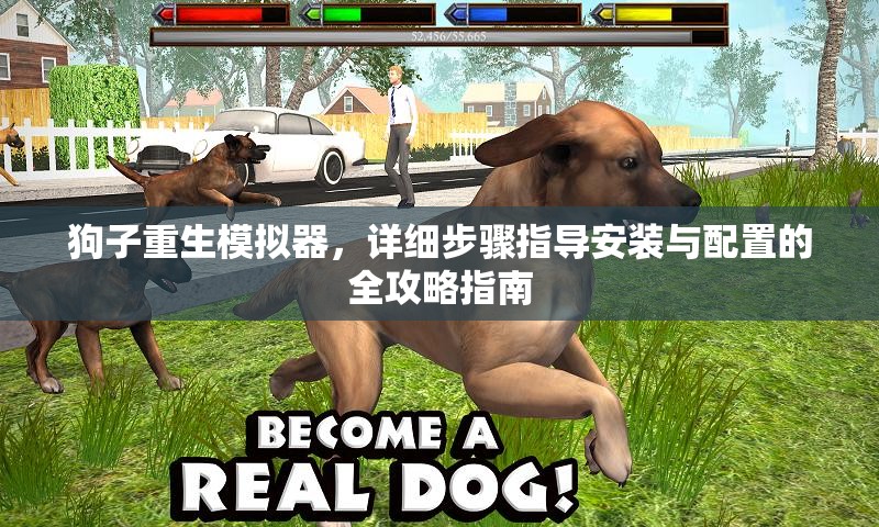 狗子重生模拟器，详细步骤指导安装与配置的全攻略指南