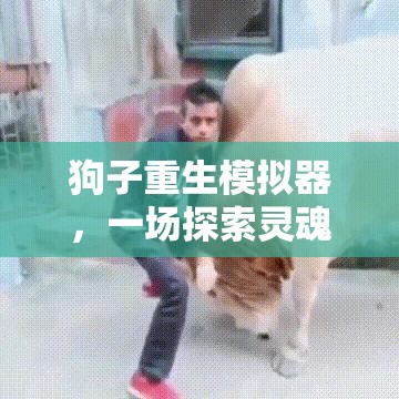 狗子重生模拟器，一场探索灵魂穿越的萌宠奇遇，究竟能否带来非凡游戏体验？
