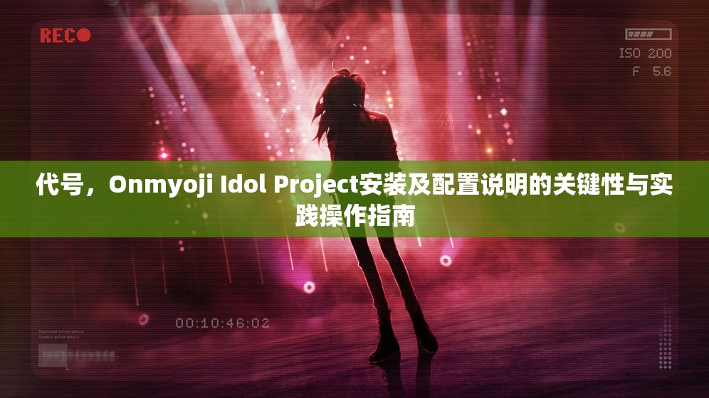 代号，Onmyoji Idol Project安装及配置说明的关键性与实践操作指南
