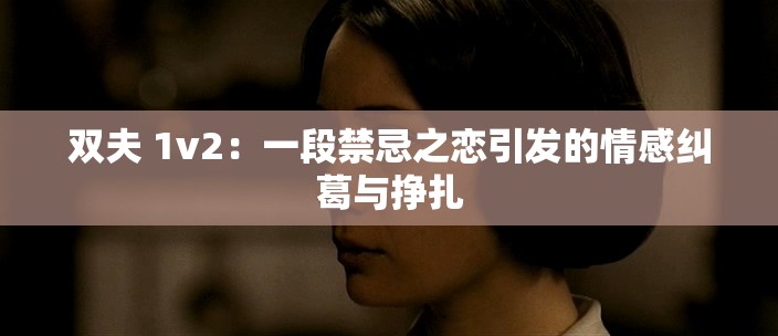 双夫 1v2：一段禁忌之恋引发的情感纠葛与挣扎