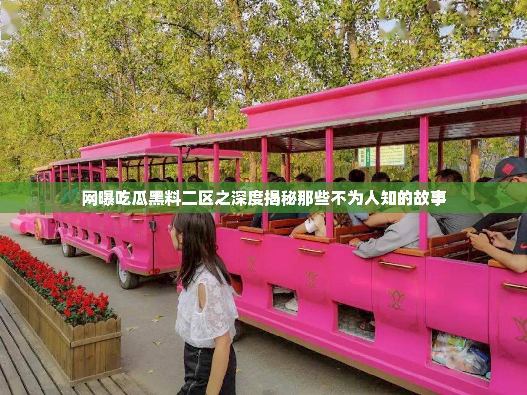 网曝吃瓜黑料二区之深度揭秘那些不为人知的故事