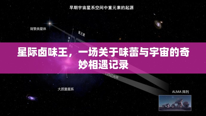 星际卤味王，一场关于味蕾与宇宙的奇妙相遇记录