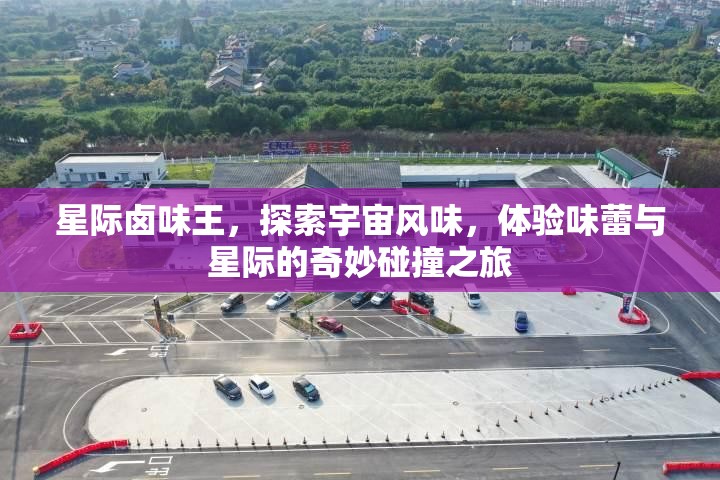 星际卤味王，探索宇宙风味，体验味蕾与星际的奇妙碰撞之旅
