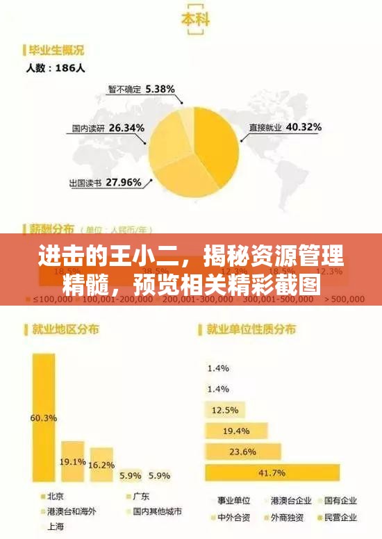 进击的王小二，揭秘资源管理精髓，预览相关精彩截图