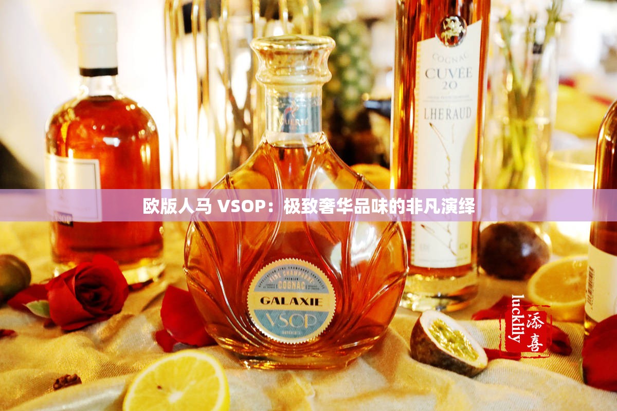 欧版人马 VSOP：极致奢华品味的非凡演绎