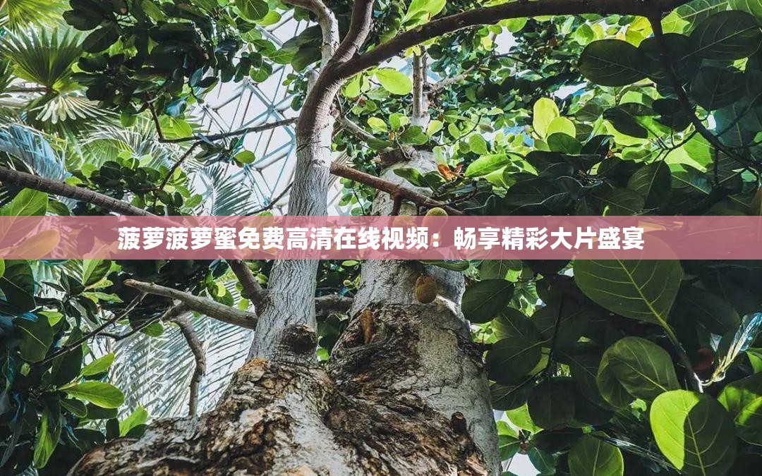 菠萝菠萝蜜免费高清在线视频：畅享精彩大片盛宴