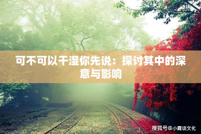 可不可以干湿你先说：探讨其中的深意与影响