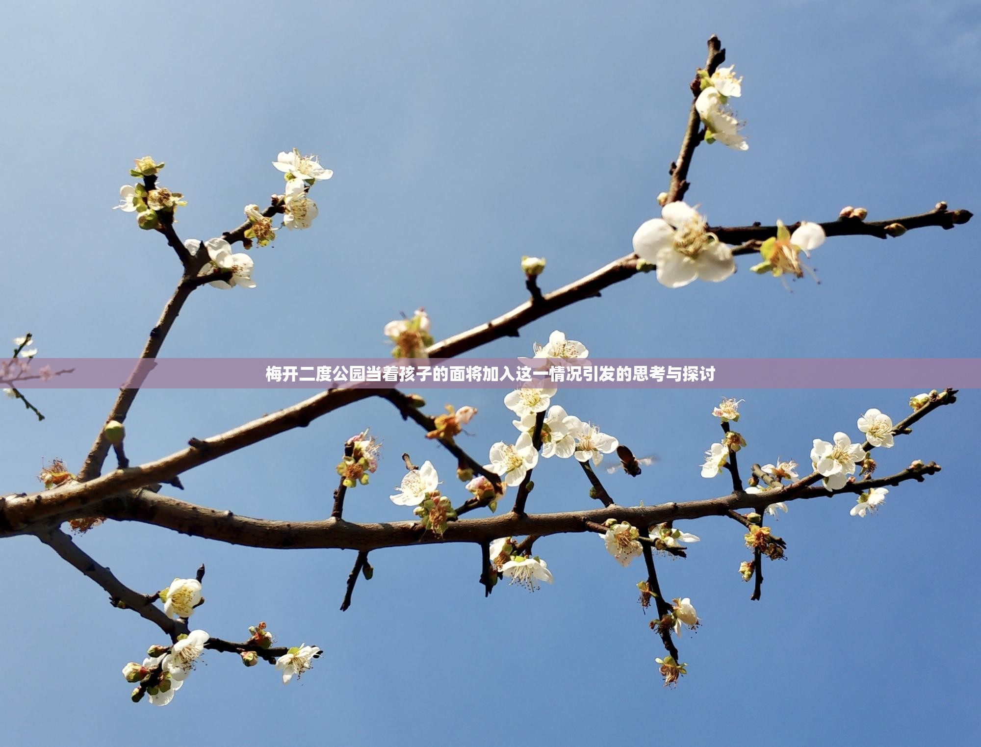 梅开二度公园当着孩子的面将加入这一情况引发的思考与探讨