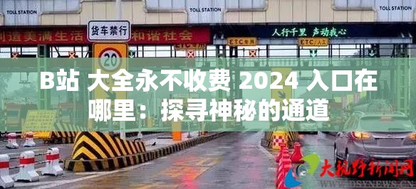 B站 大全永不收费 2024 入口在哪里：探寻神秘的通道