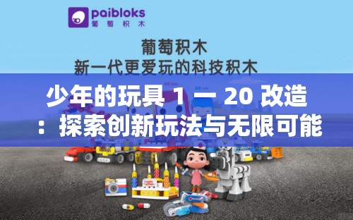 少年的玩具 1 一 20 改造：探索创新玩法与无限可能