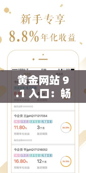 黄金网站 9.1 入口：畅享精彩非凡的网络世界