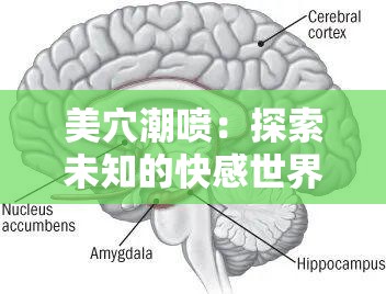 美穴潮喷：探索未知的快感世界