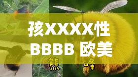孩XXXX性 BBBB 欧美蚪窝：探索独特的欧美文化魅力
