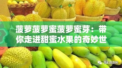 菠萝菠萝蜜菠萝蜜芽：带你走进甜蜜水果的奇妙世界